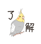 オカメインコさん。(ノーマル)1（個別スタンプ：3）