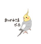 オカメインコさん。(ノーマル)1（個別スタンプ：30）