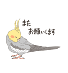 オカメインコさん。(ノーマル)1（個別スタンプ：31）