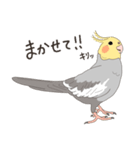 オカメインコさん。(ノーマル)1（個別スタンプ：36）