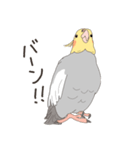 オカメインコさん。(ノーマル)1（個別スタンプ：40）