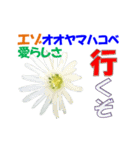 エゾの花（個別スタンプ：9）