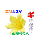 エゾの花（個別スタンプ：13）