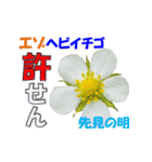 エゾの花（個別スタンプ：32）