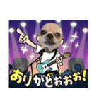 kuucanfamily（個別スタンプ：1）
