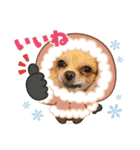 kuucanfamily（個別スタンプ：2）