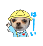 kuucanfamily（個別スタンプ：5）