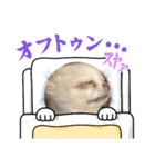 kuucanfamily（個別スタンプ：6）
