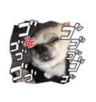 kuucanfamily（個別スタンプ：7）