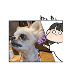 kuucanfamily（個別スタンプ：13）