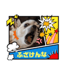 kuucanfamily（個別スタンプ：15）