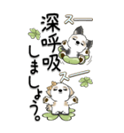 【Big】シーズー犬 110『岡山弁・広島弁』（個別スタンプ：25）