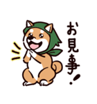 fun柴犬☆忍者しば（個別スタンプ：2）