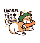 fun柴犬☆忍者しば（個別スタンプ：9）