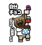 猫キジトラBIGスタンプ5（個別スタンプ：5）