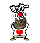 猫キジトラBIGスタンプ5（個別スタンプ：16）