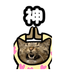 猫キジトラBIGスタンプ5（個別スタンプ：19）