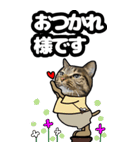 猫キジトラBIGスタンプ5（個別スタンプ：20）