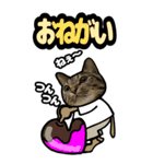 猫キジトラBIGスタンプ5（個別スタンプ：22）