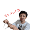 いつでもヒラシ（個別スタンプ：9）