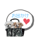 うらぷっぷの激かわスタンプ（個別スタンプ：29）