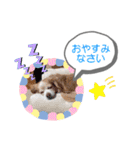 うらぷっぷの激かわスタンプ（個別スタンプ：39）