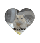 ハムスターのモカちゃん・挨拶・敬語（個別スタンプ：10）