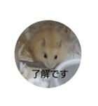 ハムスターのモカちゃん・挨拶・敬語（個別スタンプ：18）