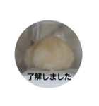 ハムスターのモカちゃん・挨拶・敬語（個別スタンプ：19）