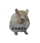 ハムスターのモカちゃん・挨拶・敬語（個別スタンプ：25）