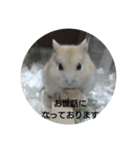ハムスターのモカちゃん・挨拶・敬語（個別スタンプ：27）