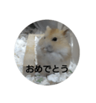 ハムスターのモカちゃん・挨拶・敬語（個別スタンプ：32）