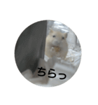 ハムスターのモカちゃん・挨拶・敬語（個別スタンプ：38）