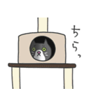 暴れん坊ソラくん（個別スタンプ：22）