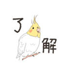 オカメインコさん。(ホワイト)1（個別スタンプ：3）