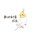 オカメインコさん。(ホワイト)1（個別スタンプ：30）