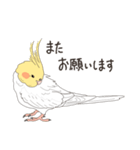 オカメインコさん。(ホワイト)1（個別スタンプ：31）