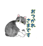 白黒兄弟ねこ（個別スタンプ：6）