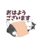 白黒兄弟ねこ（個別スタンプ：7）