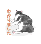 白黒兄弟ねこ（個別スタンプ：12）