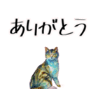 【水彩画】ネコのスタンプ（個別スタンプ：17）