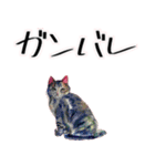 【水彩画】ネコのスタンプ（個別スタンプ：22）