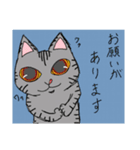 まなこの眼(まなこ)でみた猫達（個別スタンプ：1）