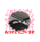 動物スタンプ6（個別スタンプ：12）