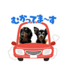 トッティーツバキテオネル（個別スタンプ：12）