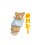 m.r.r.c（個別スタンプ：2）