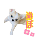 m.r.r.c（個別スタンプ：3）