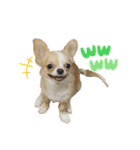 m.r.r.c（個別スタンプ：4）