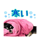 m.r.r.c（個別スタンプ：8）