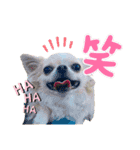 m.r.r.c（個別スタンプ：9）